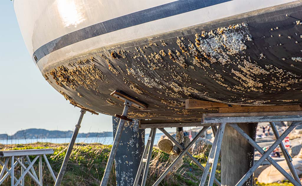 Antifouling pour Bateau sur les lacs: Quand, Pourquoi et Comment l’Appliquer